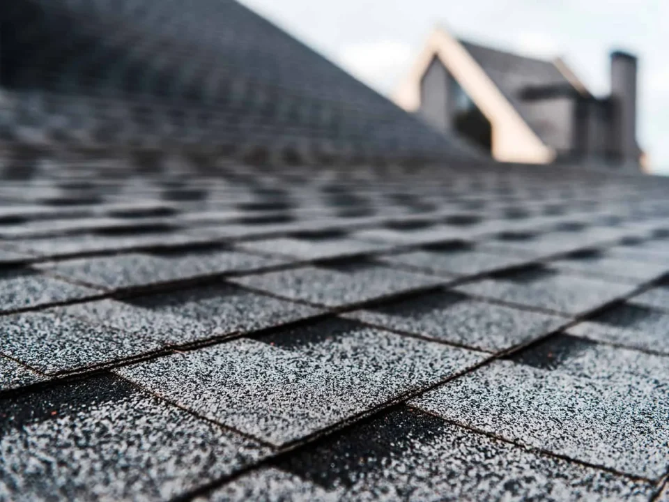 Learn the top warning signs you need a new roof this year. Protect your home with expert roofing services in Staten Island, New York.